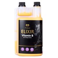 Amequ Vitamin B Elixir - 1 liter